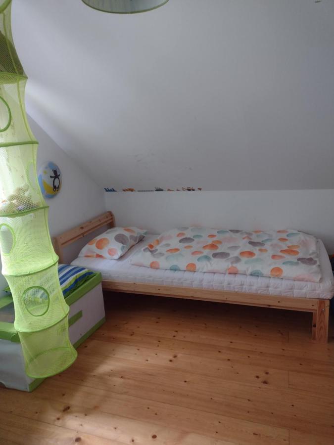 Zelezny Brod Chata Dvirka מראה חיצוני תמונה